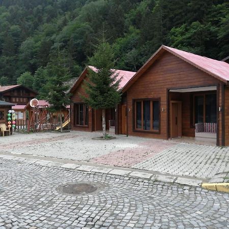 Zeren Apart Bungalov Uzungöl Zewnętrze zdjęcie
