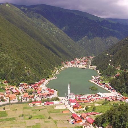 Zeren Apart Bungalov Uzungöl Zewnętrze zdjęcie