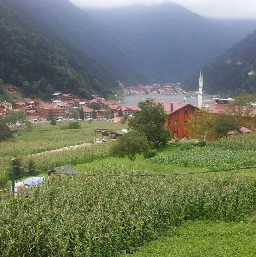 Aparthotel Zeren Bungalov Uzungöl Zewnętrze zdjęcie