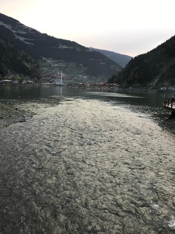 Aparthotel Zeren Bungalov Uzungöl Zewnętrze zdjęcie