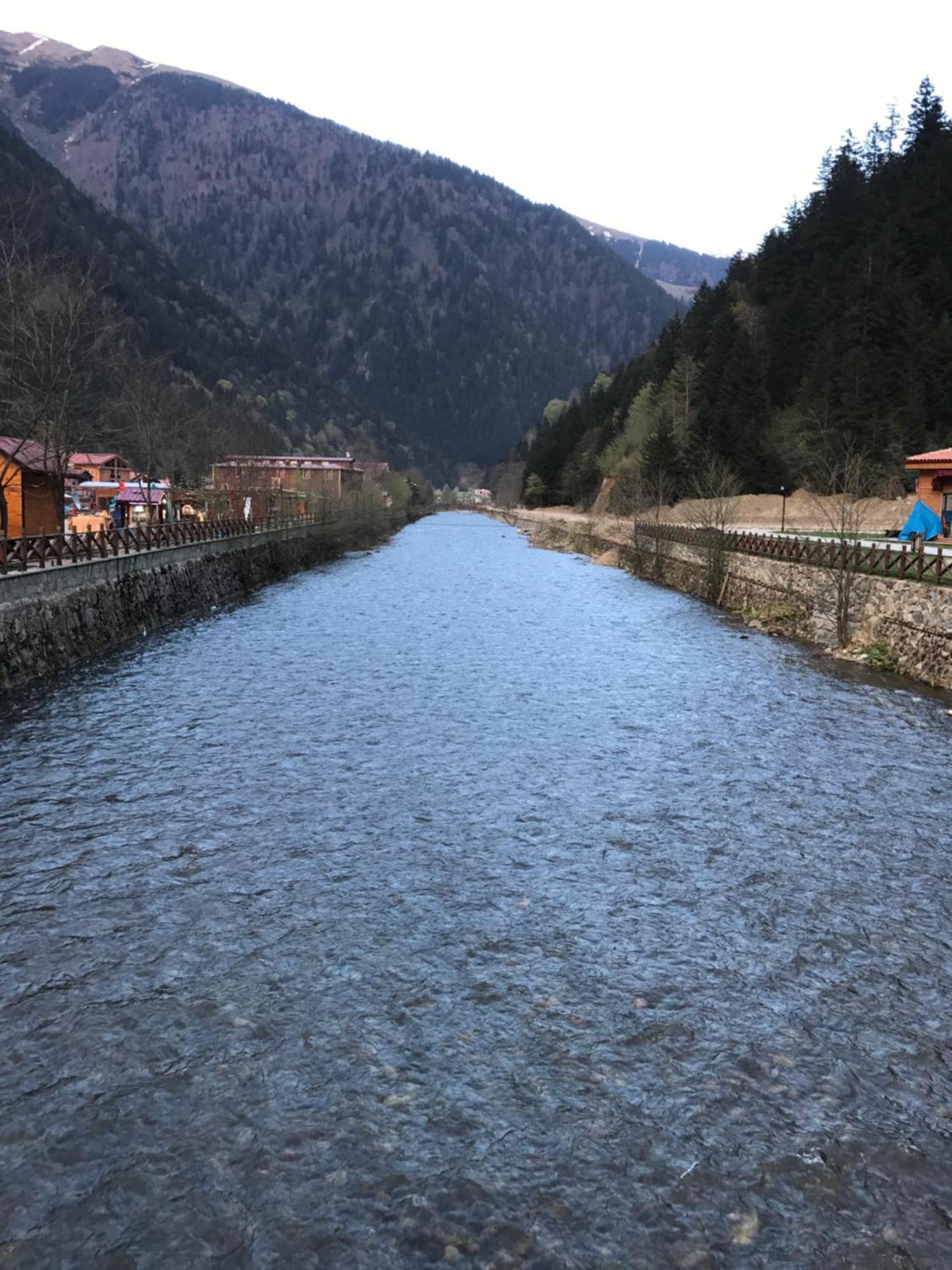Zeren Apart Bungalov Uzungöl Zewnętrze zdjęcie