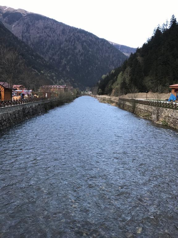 Aparthotel Zeren Bungalov Uzungöl Zewnętrze zdjęcie